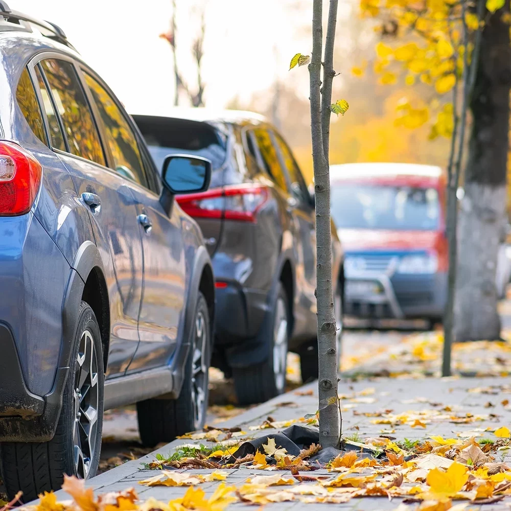 row of parked cars